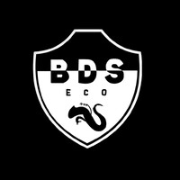 BDS ECO Rennes logo - Similar company to Project Eagle