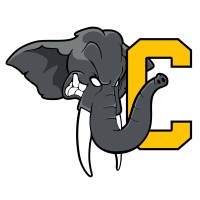 LES ÉLÉPHANTS DE CHAMBÉRY - HOCKEY logo - Similar company to Fima Invest