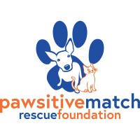 Pawsitive Match Rescue Foundation logo - Similar company to Calgary Professional Chapter Of Engineers Without Borders Canada