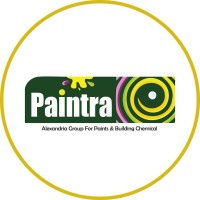 Paintra Misr logo - Similar company to Viking Group