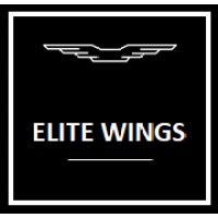 ELITE WINGS logo - Similar company to Flow Aviation Llc.