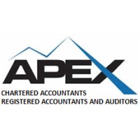 Apex Chartered Accountants Incorporated logo - Similar company to Blueprint Accounting (Sa)