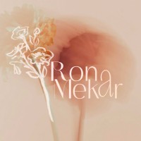 Rona Mekar logo - Similar company to Poinplus Group
