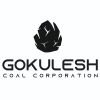 Gokulesh Coal Corporation logo - Similar company to Metawareit