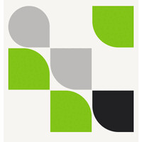 Swiss Nexus logo - Similar company to Fynde Global Recruitment