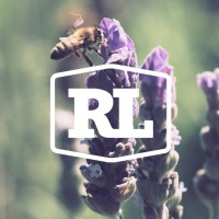 Rayito de Luna logo - Similar company to Iluméxico