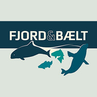 Fjord&Bælt logo - Similar company to Br-El A/S