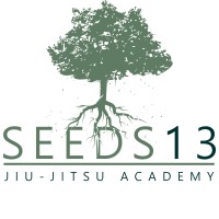 Seeds 13 Jiu Jitsu Academy logo - Similar company to National Martial Arts Alliance