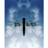 Seb Blach