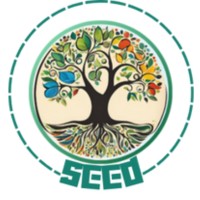 SEED - Moneywise logo - Similar company to Ravian Ai