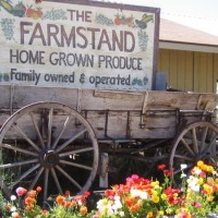 Farm Stand West logo - Similar company to Farmstand (Acquired)