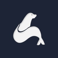 Digital Sea Solutions logo - Similar company to Dpwebz Technology