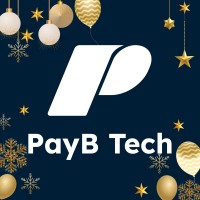 PayB Technology Vietnam logo - Similar company to Payb.Io