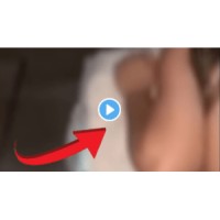 domiancity logo - Similar company to Wetspace