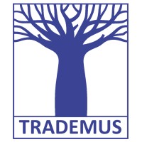 TRADEMUS-Beratung für Familienunternehmen logo - Similar company to Gewinner Coaching Ug (Haftungsbeschränkt)