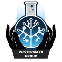 westermayrgroup logo - Similar company to Sektor Gmbh