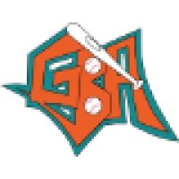 Gwinnett Baseball Academy logo - Similar company to Pc Baseball Academy