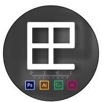 PICI SOLUTIONS.PK logo - Similar company to Code In Wordpress - Page Speed Optimization Experts