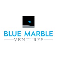 Blue Marble Ventures logo - Similar company to Blue Marble Capital Partners