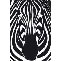 Zebra Products Ltd logo - Similar company to Soydan A.S.