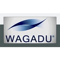 WAGADU Consulting logo - Similar company to Power Tune