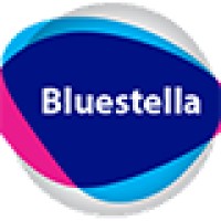 Bluestella logo - Similar company to Ogma