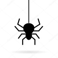 SpiderWeb logo - Similar company to Spiderweb Technologies