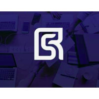 Ripton Solutions logo - Similar company to Technosavys