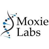 Moxie Labs logo - Similar company to Jfc Tech