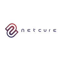 Netcure logo - Similar company to Salt Consultancy
