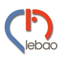LEBAO_MHH logo - Similar company to Immutrain - Training Network For The Immunotherapy Of Cancer