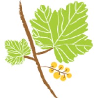 NORTHWEST NATIVE LANDSCAPES LLC logo - Similar company to Northwest Forest Link