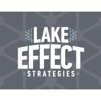 Lake Effect Strategies logo - Similar company to Eyesover Technologies
