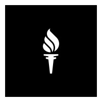towfigh.law logo - Similar company to Lambda Inc