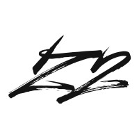 Z2 Consulting & Business Services logo - Similar company to Actra Consulting