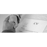 LDS Consult logo - Similar company to A