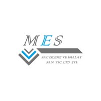 MES SAC logo - Similar company to Cesp Group
