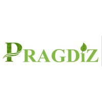 PRAGDIZ BRANDS PVT LTD logo - Similar company to Veta - Experts In English Training