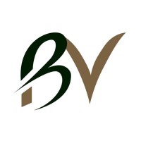 BV Garantia logo - Similar company to Simplex Garantidora