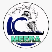 Project Meera logo - Similar company to Hart Logic
