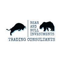 Bear and Bull investments logo - Similar company to Tech Hs Infosystem