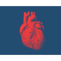 CardioVasc logo - Similar company to Mes Z'Itinérants