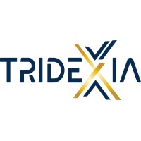 Tridexia logo - Similar company to Kriyaetive