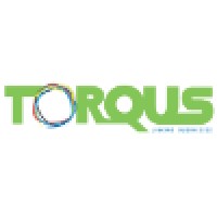 Torqus Systems Private Limited logo - Similar company to Predis.Ai