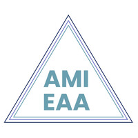 AMI EAA logo - Similar company to Chispa