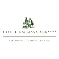 Hotel Ambassador Brig logo - Similar company to Dgr Solutions Hr