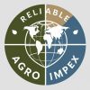 Reliable Agro Impex logo - Similar company to Ignitive Tech