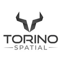 Torino Spatial logo - Similar company to Torion Industries