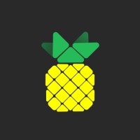 Payinapo logo - Similar company to Sokofund