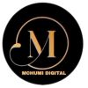 Mchumi Consulting logo - Similar company to Tai Plus